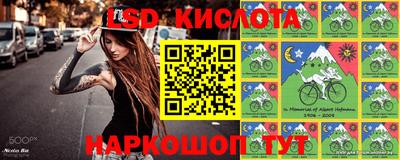 прущие грибы Донецк