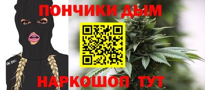 хмурый Шелехов