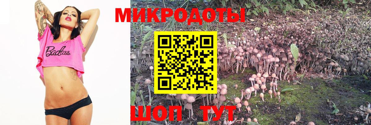 Галлюциногенные грибы прущие грибы Междуреченск