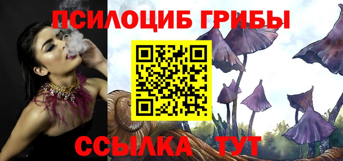 Междуреченск  Псилоцибиновые грибы мицелий  Вход с VPN 