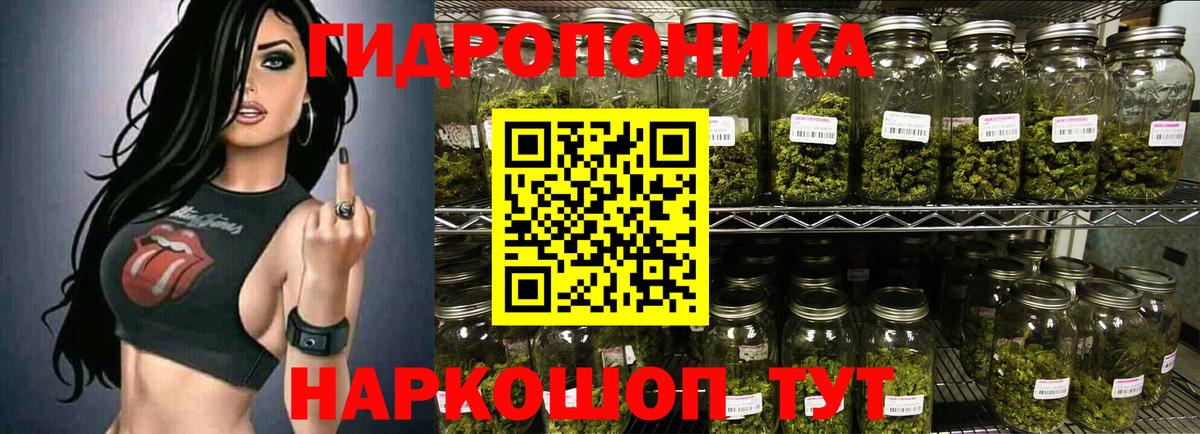 Шишки марихуана сатива  Вход с VPN  Бошки марихуана LSD WEED  Междуреченск  Шишки марихуана THC 21% 